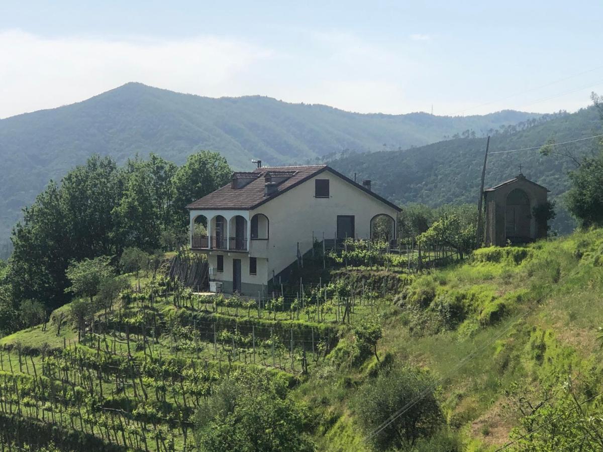 Villa Elena Mezzanego Екстер'єр фото