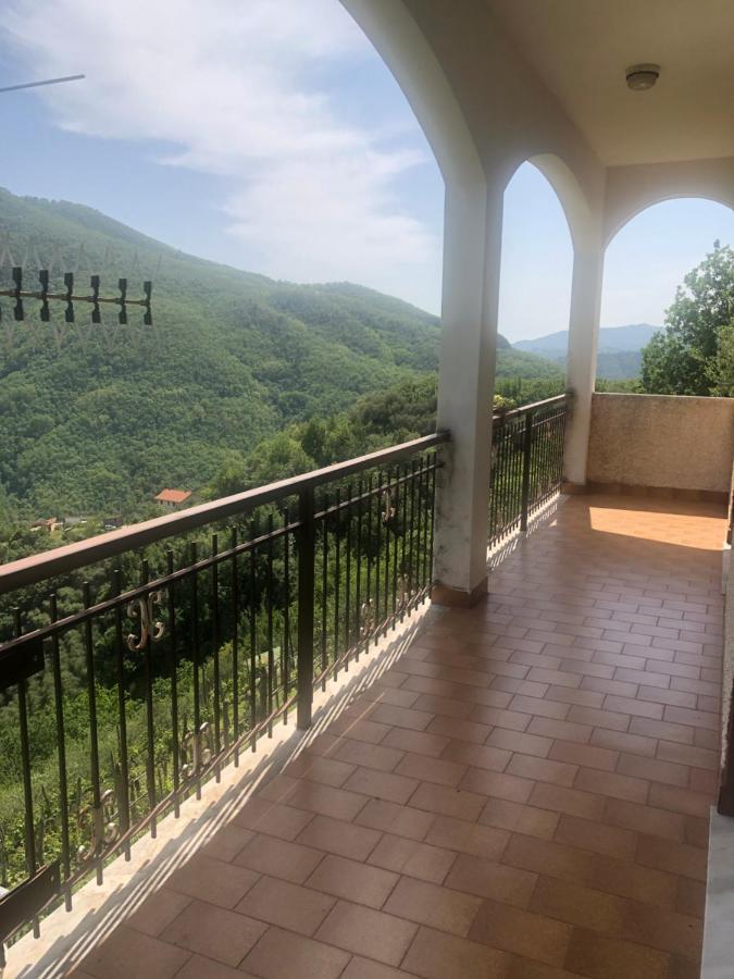 Villa Elena Mezzanego Екстер'єр фото
