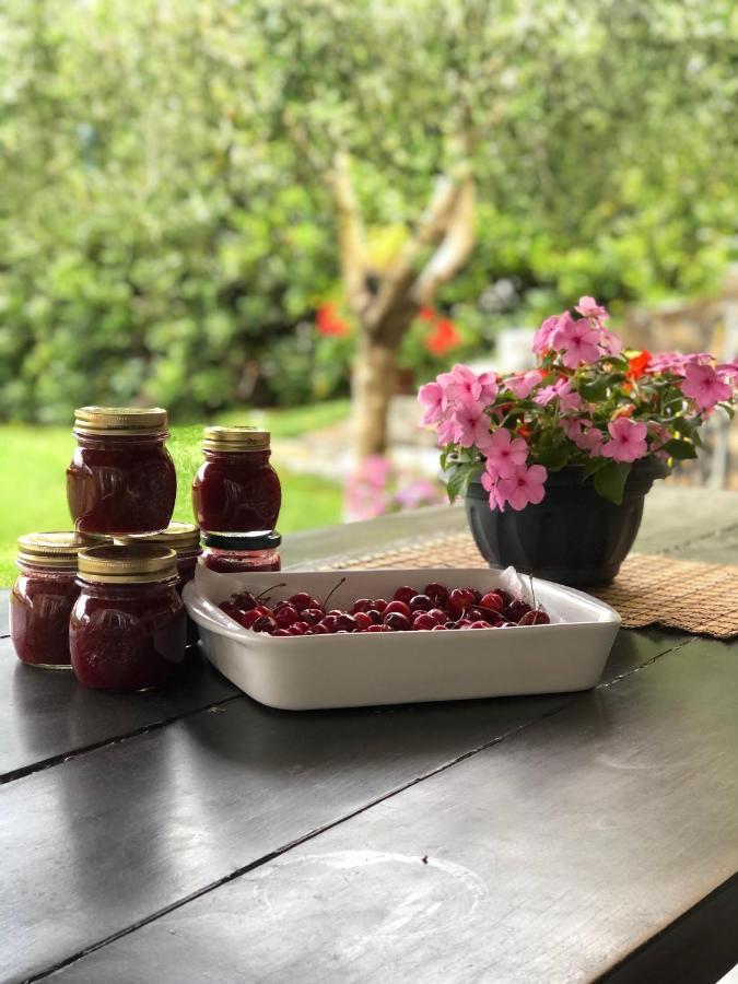 Villa Elena Mezzanego Екстер'єр фото