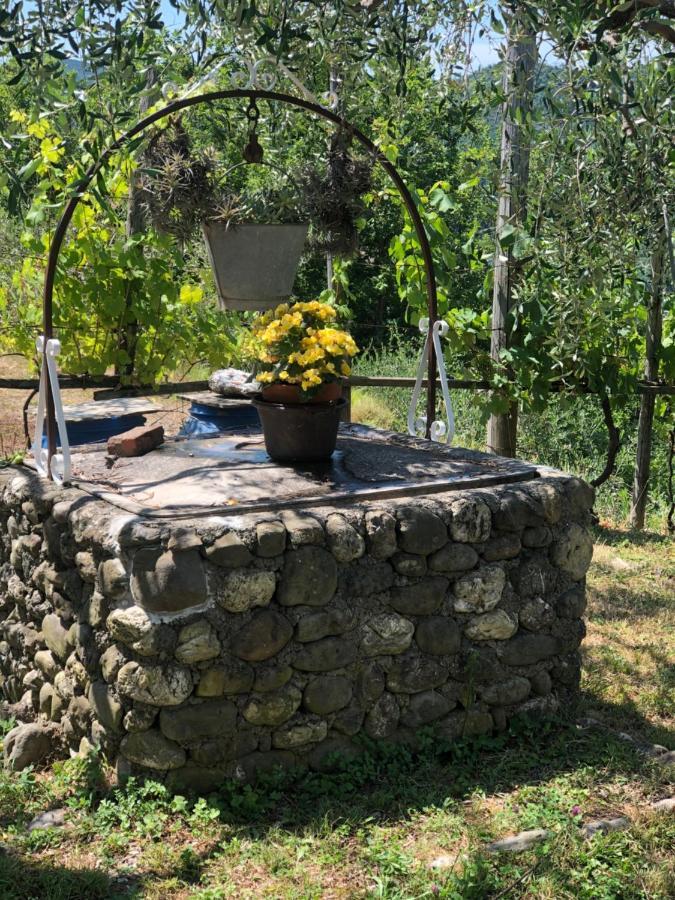 Villa Elena Mezzanego Екстер'єр фото