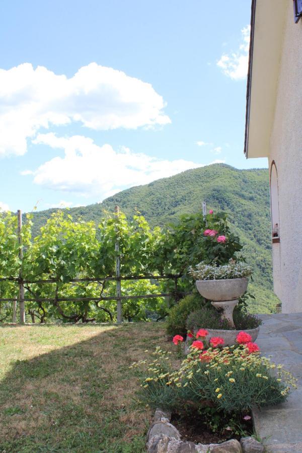 Villa Elena Mezzanego Екстер'єр фото