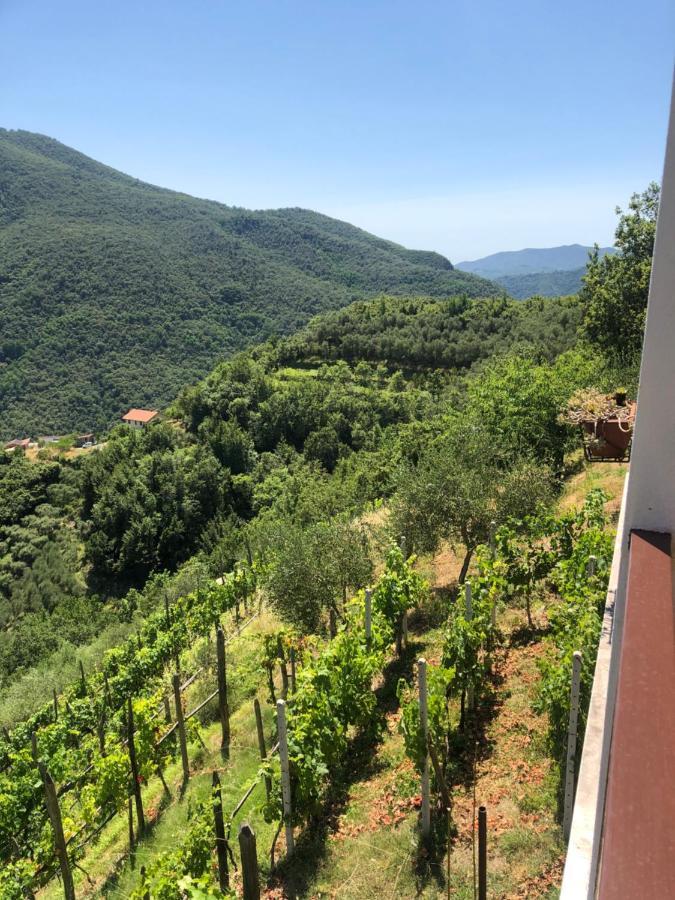 Villa Elena Mezzanego Екстер'єр фото